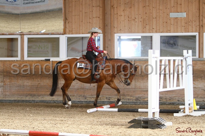 26-ApHC GT_052.jpg